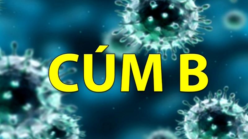 Hội chứng Reye thường liên quan đến các virus như cúm A và B cũng như bệnh thủy đậu